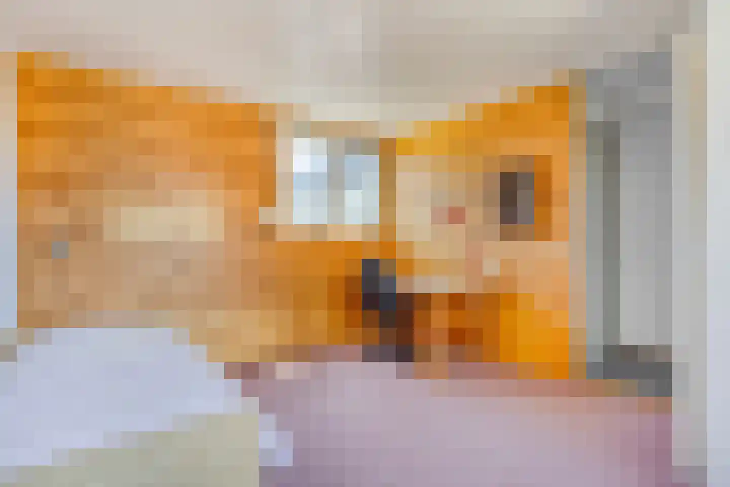 Herenhof 32 Ede thumbnail 22