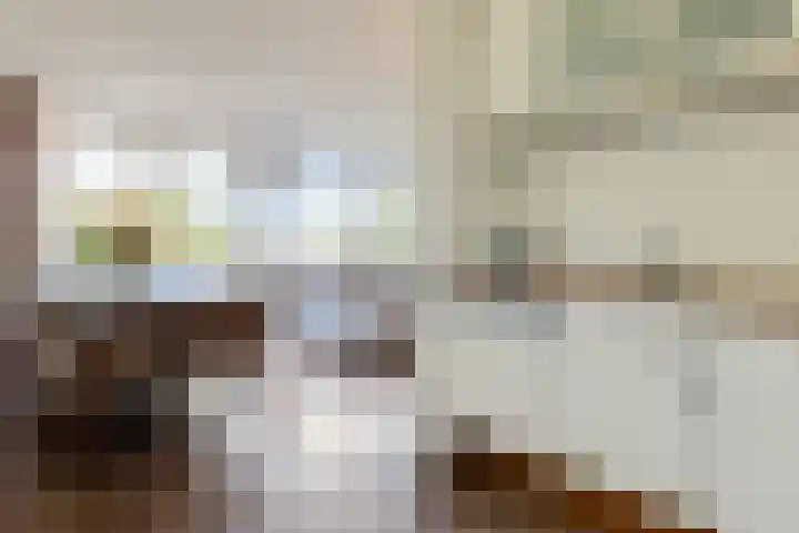 Herenhof 6 Heerenveen thumbnail 11