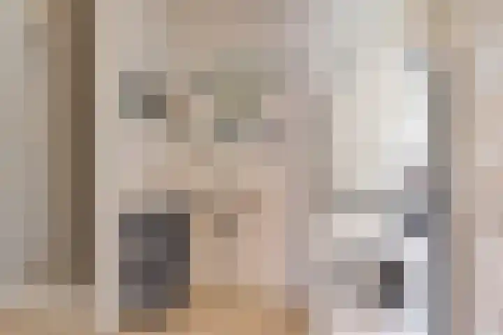 Herenhof 6 Heerenveen thumbnail 17