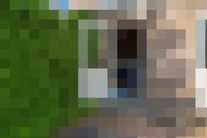 Herenhof 6 Heerenveen thumbnail 21