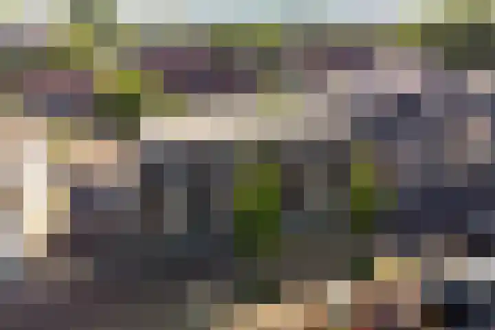 Herenhof 6 Heerenveen thumbnail 37
