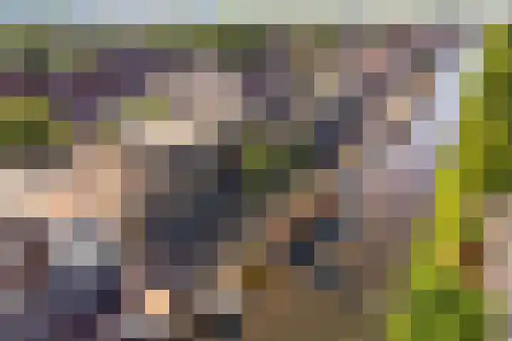 Herenhof 6 Heerenveen thumbnail 38