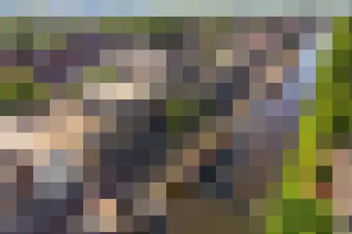 Herenhof 6 Heerenveen thumbnail 39