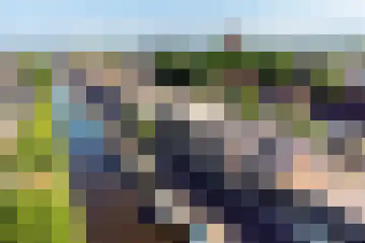 Herenhof 6 Heerenveen thumbnail 43