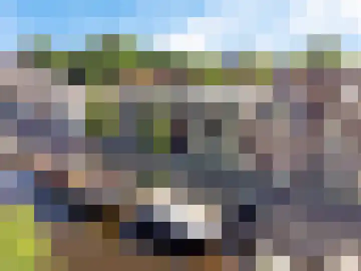 Herenhof 6 Heerenveen thumbnail 47