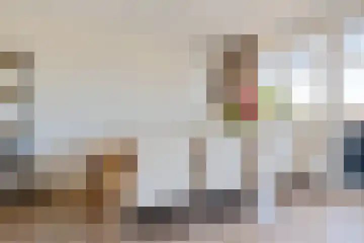 Herenhof 6 Heerenveen thumbnail 6