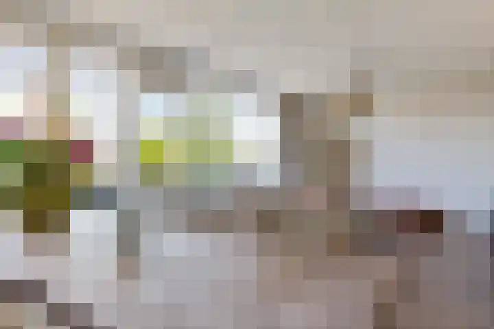 Herenhof 6 Heerenveen thumbnail 8