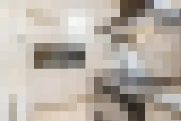 Herenhof 7 Ede thumbnail 10