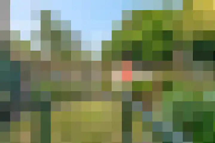Herenhof 7 Ede thumbnail 26