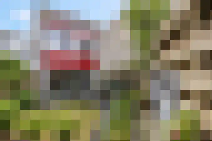 Herenhof 7 Ede thumbnail 28