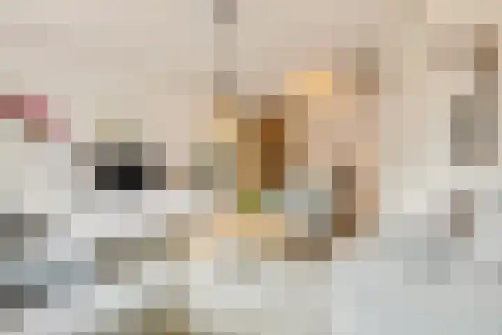 Herenhof 7 Ede thumbnail 4