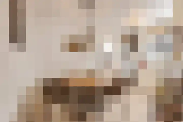 Herenhof 7 Ede thumbnail 7