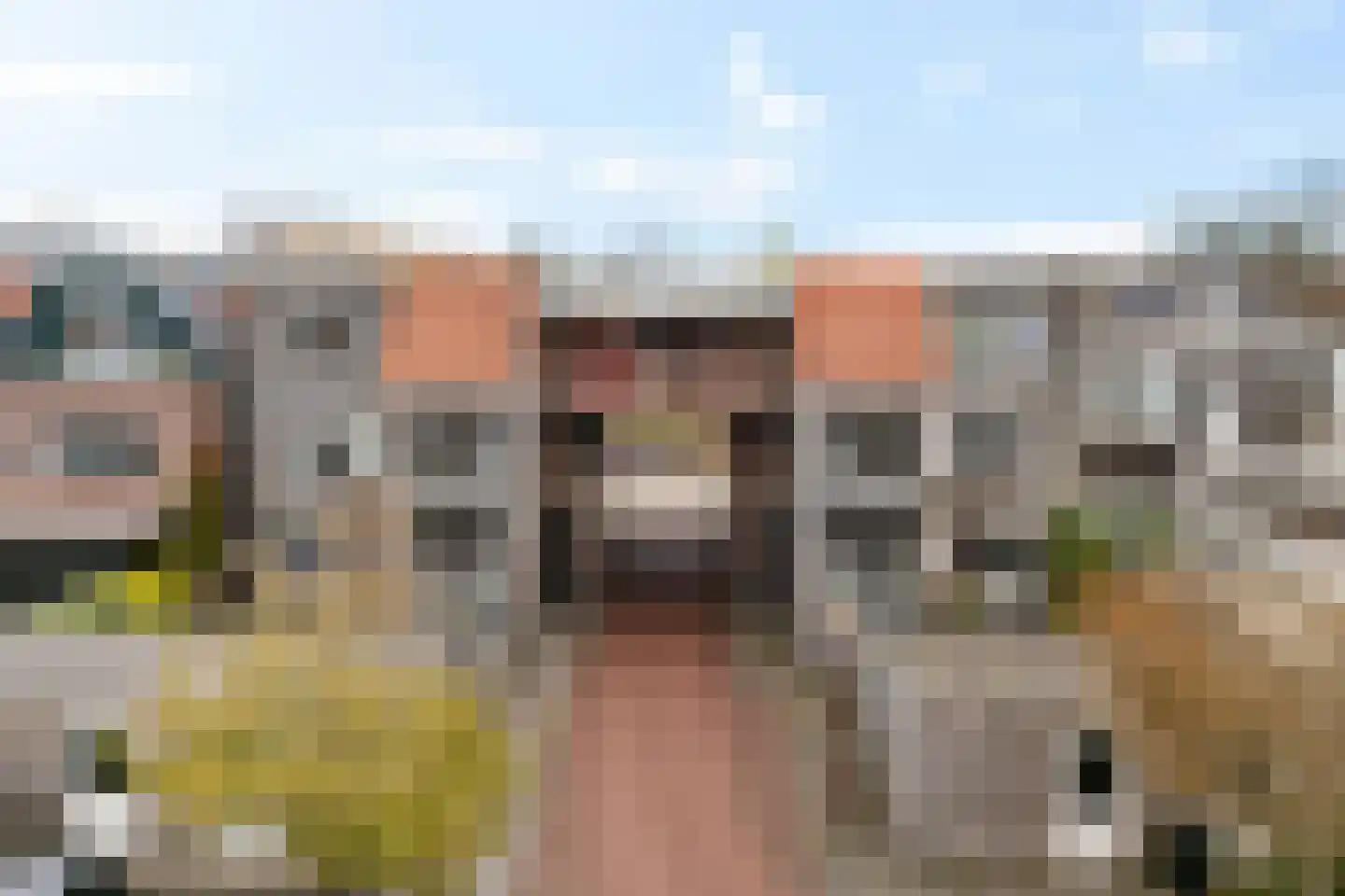 Herenhof 8 Heerenveen thumbnail 38