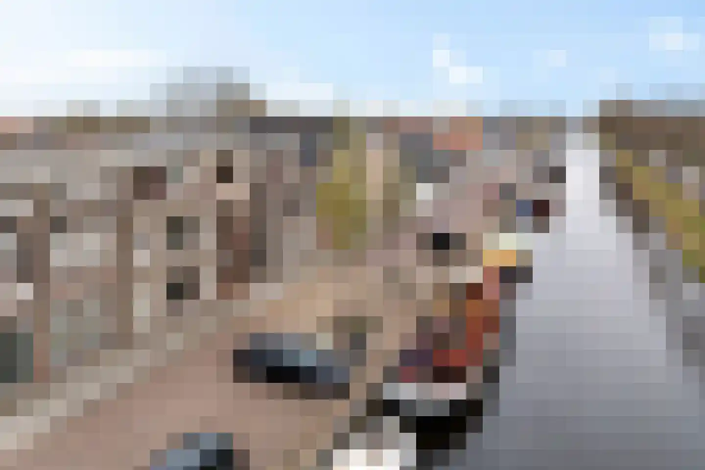 Herenhof 8 Heerenveen thumbnail 4