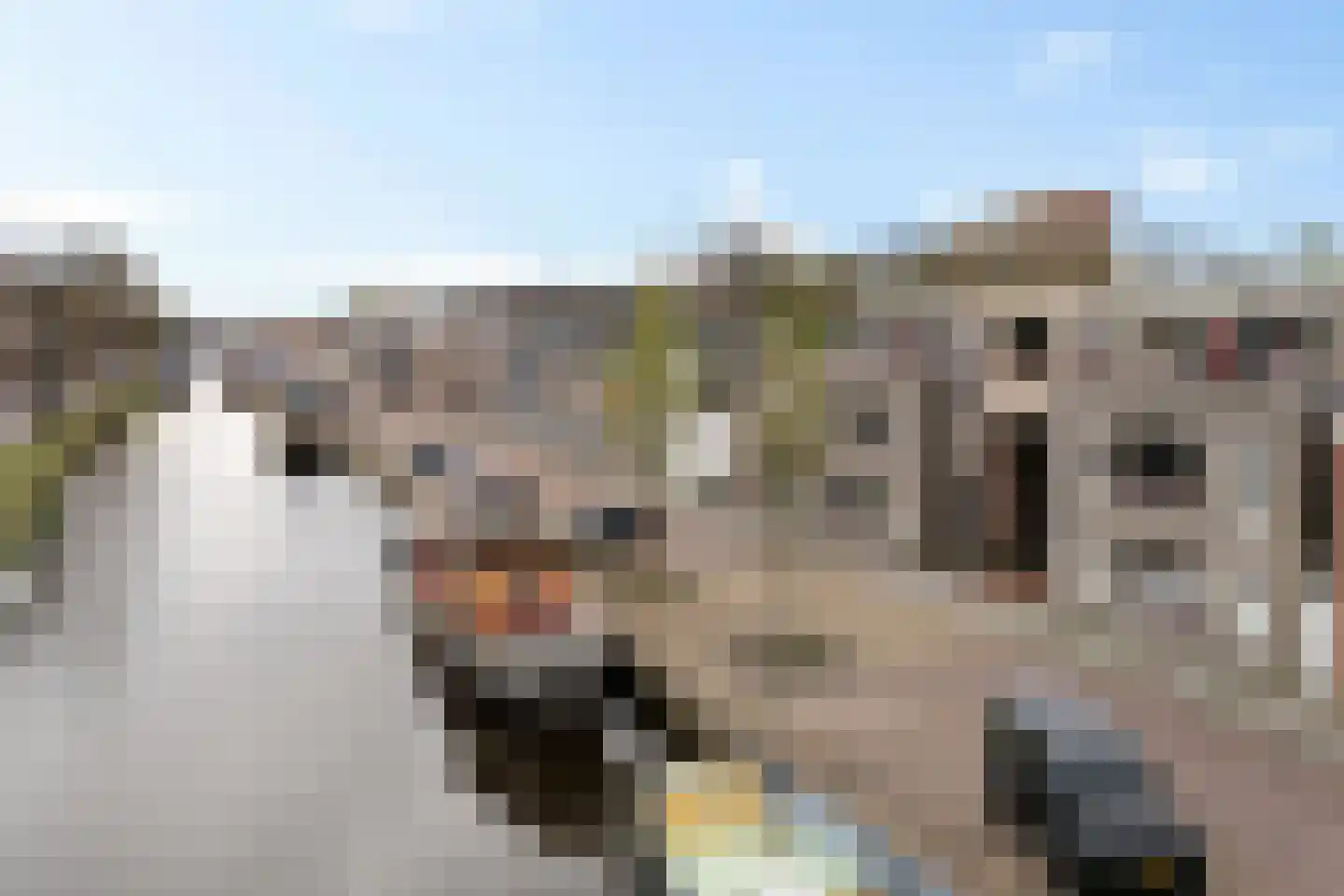 Herenhof 8 Heerenveen thumbnail 5