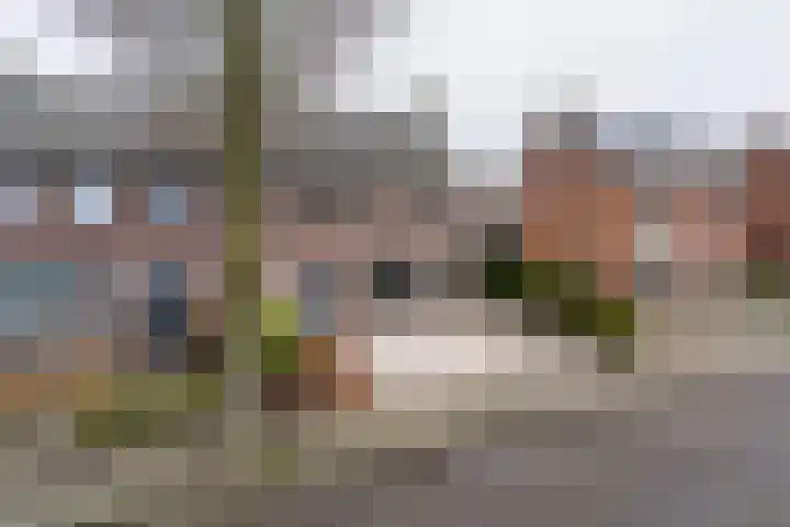 Herenhuisstraat 22 Weert thumbnail 39