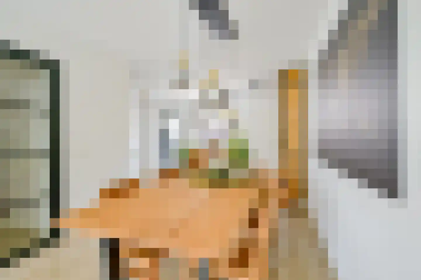 Herenkamer 15 Enkhuizen thumbnail 22