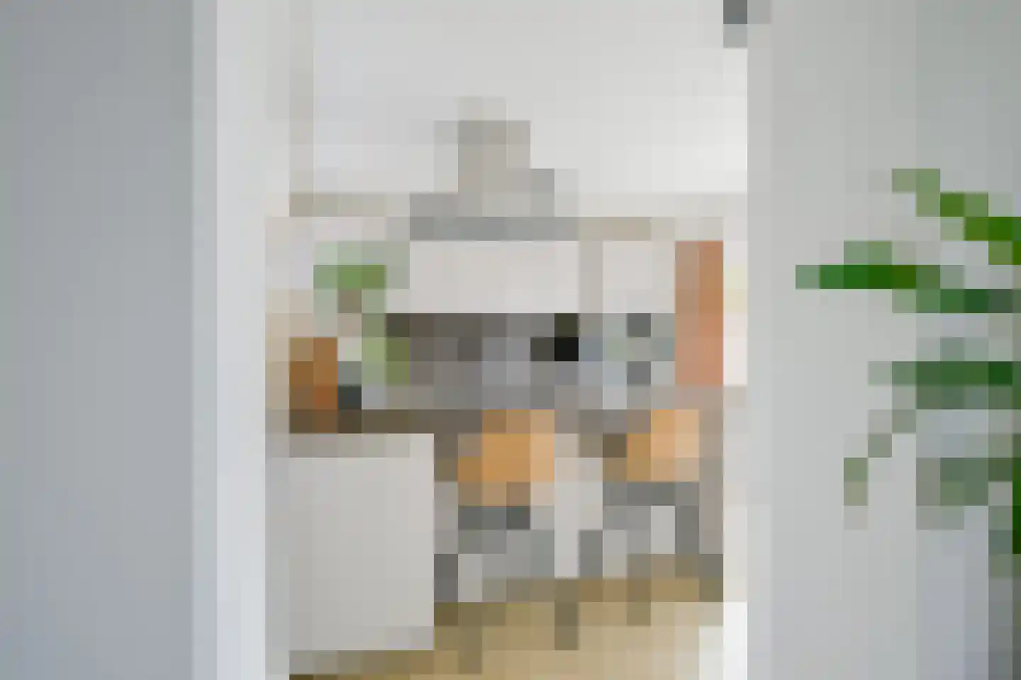 Herenkamer 15 Enkhuizen thumbnail 6