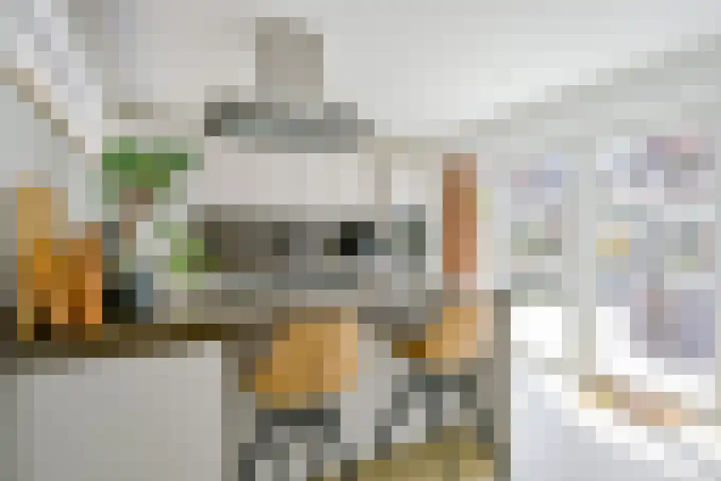 Herenkamer 15 Enkhuizen thumbnail 7