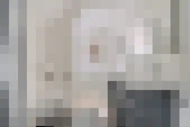 Herenkamer 23 Enkhuizen thumbnail 24
