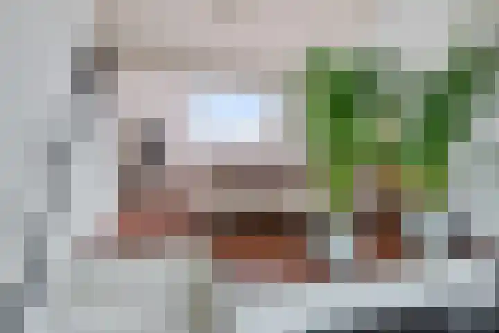 Herenkamer 23 Enkhuizen thumbnail 27