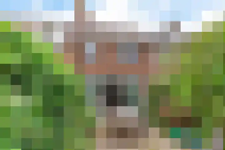 Herenkamer 23 Enkhuizen thumbnail 31