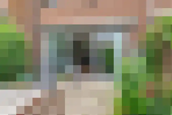 Herenkamer 23 Enkhuizen thumbnail 32