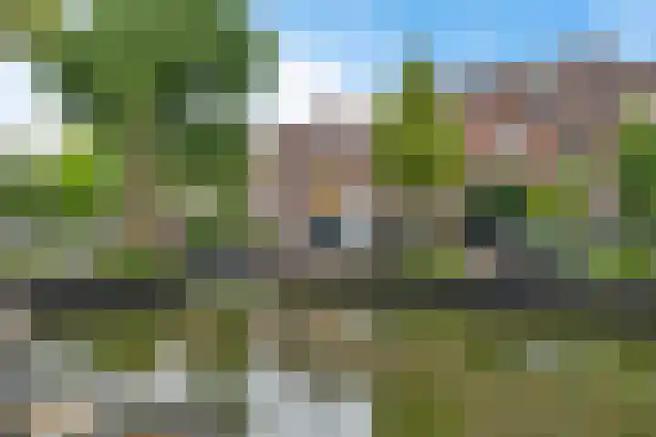 Herenkamer 23 Enkhuizen thumbnail 33