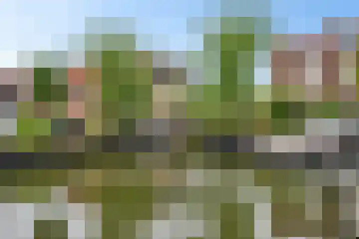 Herenkamer 23 Enkhuizen thumbnail 35