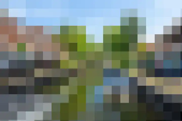 Herenkamer 23 Enkhuizen thumbnail 36