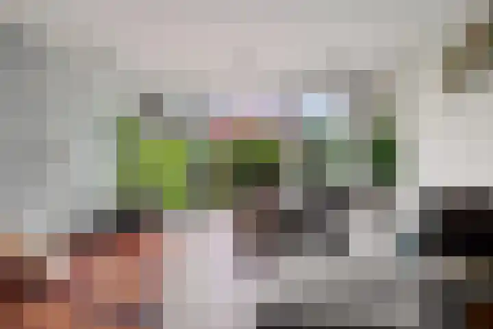 Herenkamer 23 Enkhuizen thumbnail 6