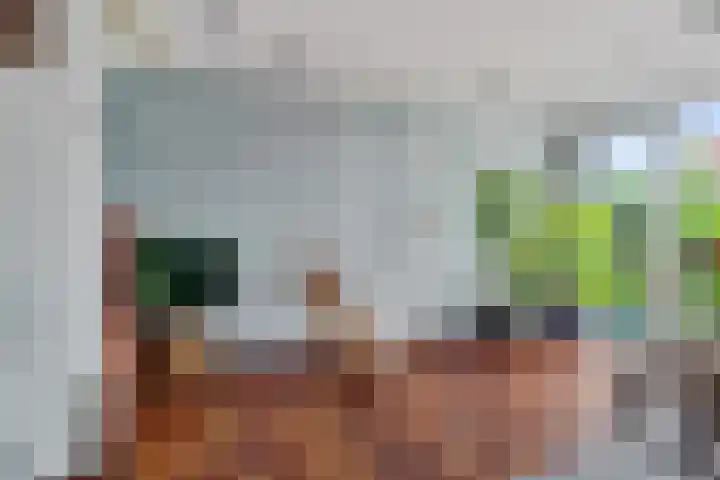 Herenkamer 23 Enkhuizen thumbnail 9