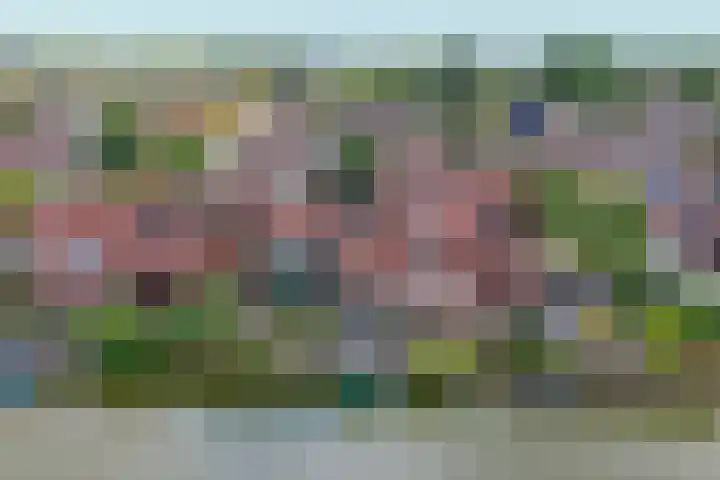 Herenkamer 8 Enkhuizen thumbnail 13