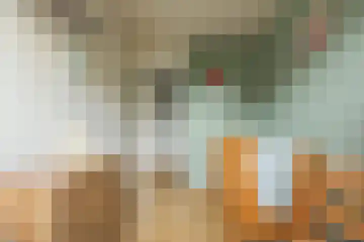Herenkamer 8 Enkhuizen thumbnail 37