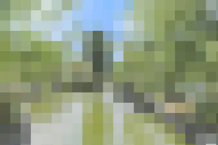 Herenkamer 8 Enkhuizen thumbnail 51