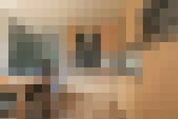 Herenkamer 8 Enkhuizen thumbnail 8
