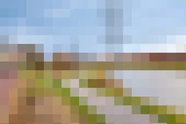 Herenlaan 128 Helmond thumbnail 31