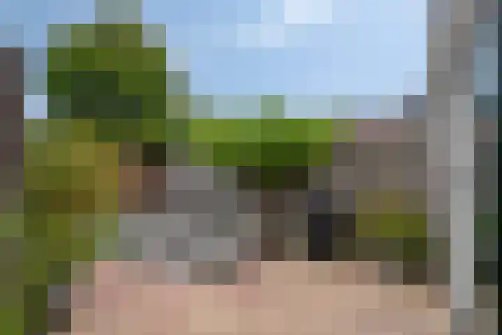 Herenlaan 156 Helmond thumbnail 36