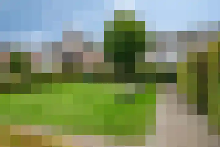 Herenlaan 156 Helmond thumbnail 39