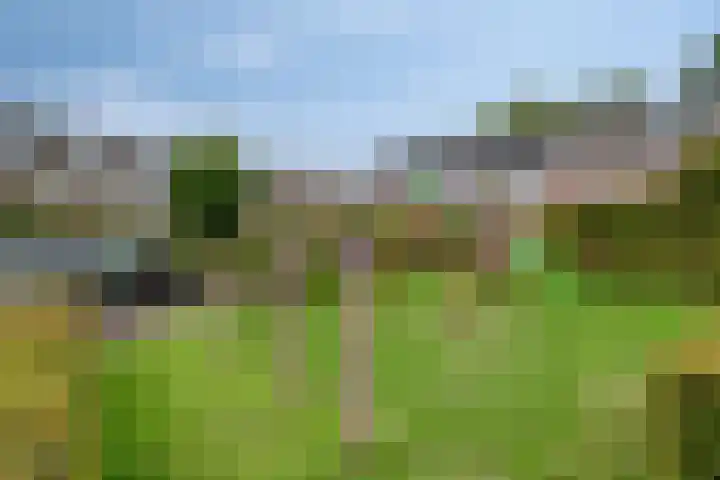 Herenlaan 156 Helmond thumbnail 40