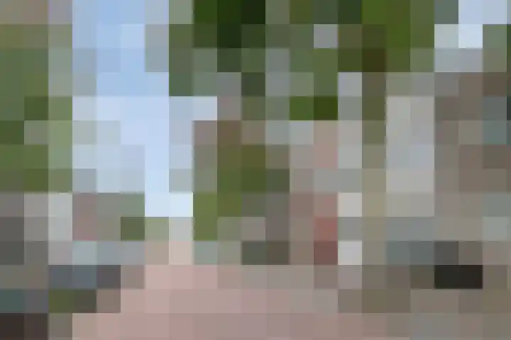 Herenlaan 156 Helmond thumbnail 8