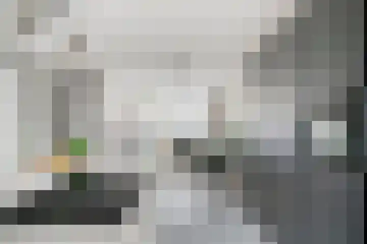 Herenlaan 169 Helmond thumbnail 15