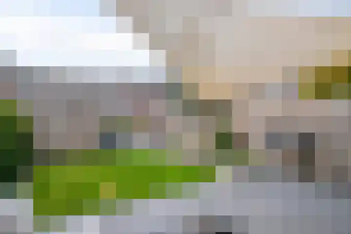 Herenlaan 169 Helmond thumbnail 24