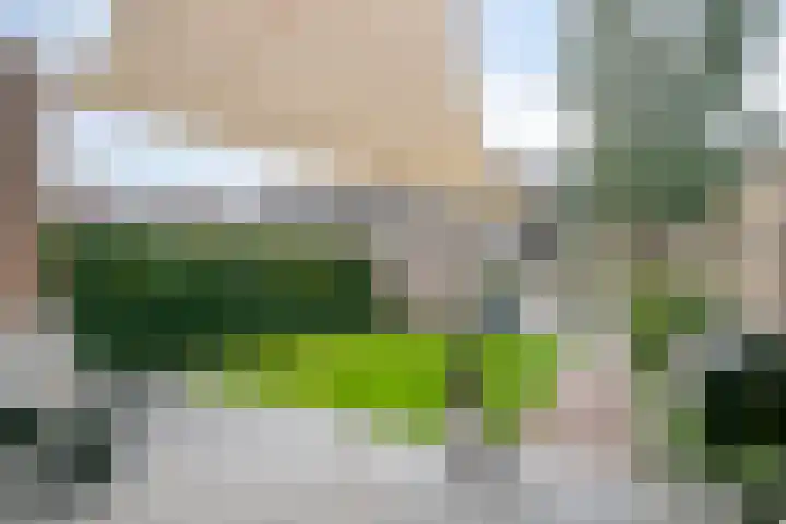 Herenlaan 169 Helmond thumbnail 6