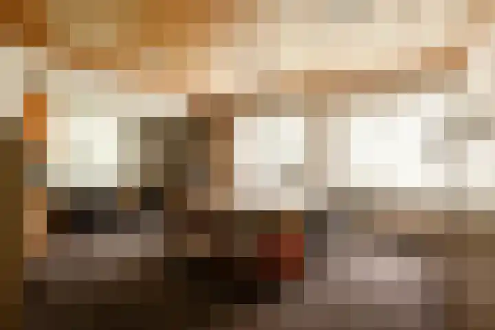 Herenlaan 2 IJmuiden thumbnail 27