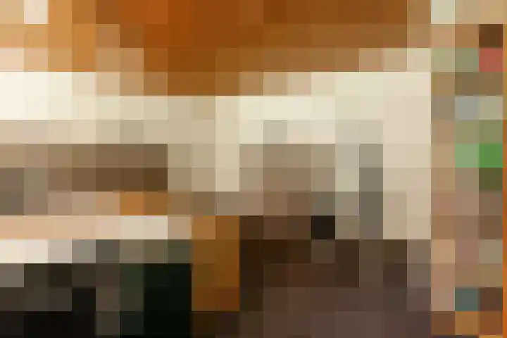 Herenlaan 2 IJmuiden thumbnail 28