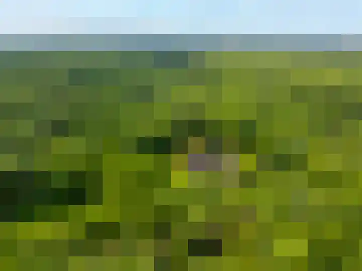 Herenlaan 2 IJmuiden foto 3