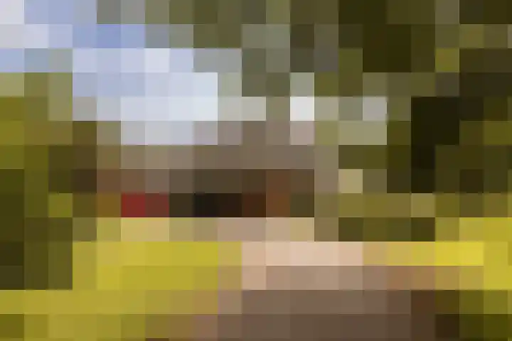 Herenlaan 2 IJmuiden thumbnail 6