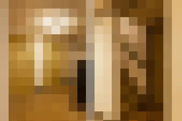 Herenlaan 2 IJmuiden thumbnail 66