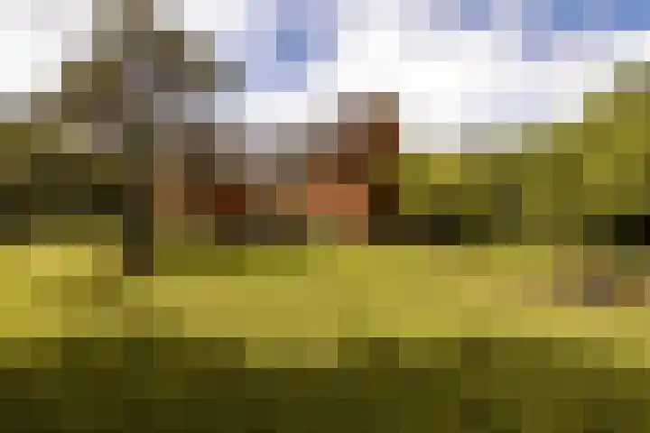 Herenlaan 2 IJmuiden thumbnail 68